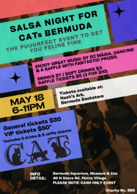 Salsa Night For Cats Bermuda