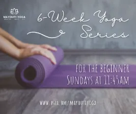 6-Week Beginner Class