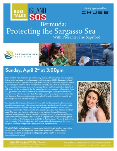 BUEI Talks present: Island SOS (Sustainable Ocean Strategies) – Bermuda: Protecting the Sargasso Sea