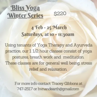 Bliss Yoga - Winter Series