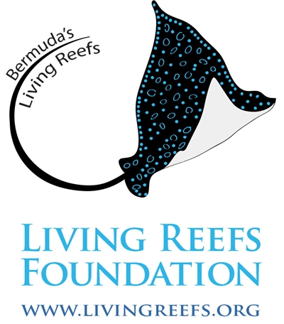 Living Reefs Foundation Donation Page