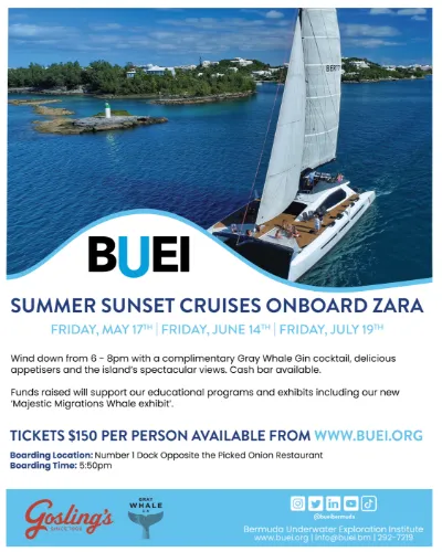 BUEI Summer Sunset Cruises Onboard Zara